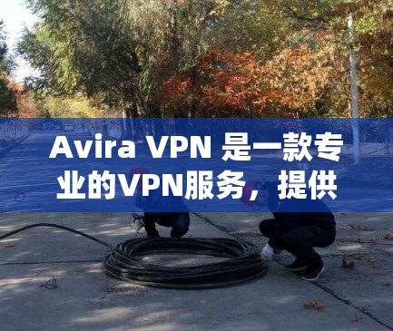 Avira VPN 是一款专业的VPN服务，提供加密、安全和高效的服务。如果你正在寻找替代方案或热门VPN的比较，以下是一些推荐
