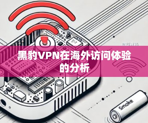 黑豹VPN在海外访问体验的分析 黑豹VPN在海外访问体验的分析