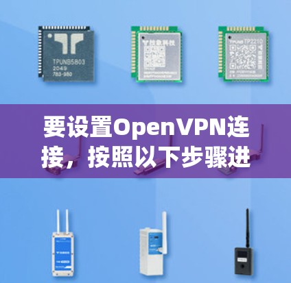 要设置OpenVPN连接，按照以下步骤进行