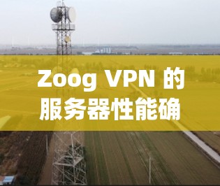 Zoog VPN 的服务器性能确实受到多种因素的影响，包括但不限于以下几个方面