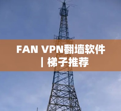 FAN VPN翻墙软件｜梯子推荐