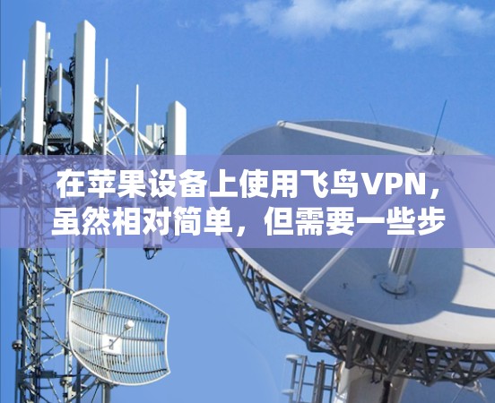 在苹果设备上使用飞鸟VPN，虽然相对简单，但需要一些步骤来确保安全和正确使用。以下是一些详细的步骤指南