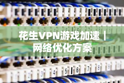 花生VPN游戏加速|网络优化方案 花生VPN游戏加速|网络优化方案