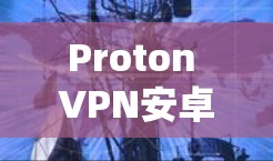 Proton VPN安卓客户端｜手机连接，安全连接，放心连接