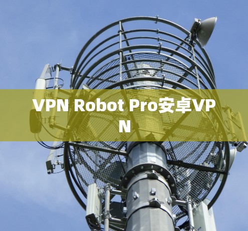 VPN Robot Pro安卓VPN VPN Robot Pro安卓VPN