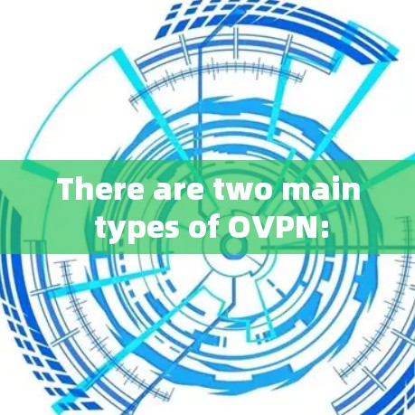 There are two main types of OVPN: