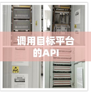 调用目标平台的API 调用目标平台的API