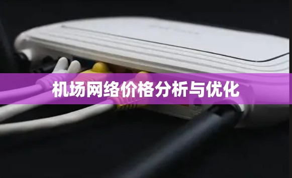 机场网络价格分析与优化