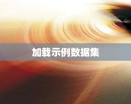 加载示例数据集 加载示例数据集