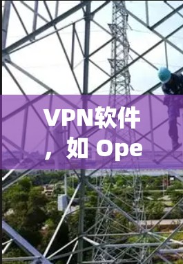 VPN软件，如 OpenVPN 和 OpenVPN Pro，是基于 wolfSSL 的协议，用于加密传输信息，保护隐私和安全。以下是使用这些软件的详细步骤和注意事项