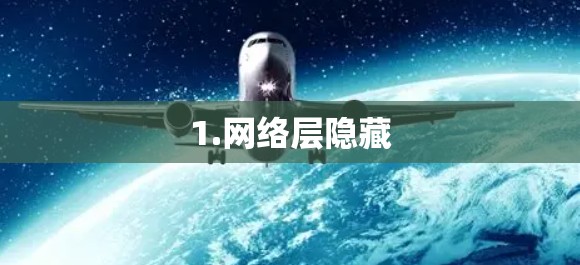 1.网络层隐藏 1.网络层隐藏