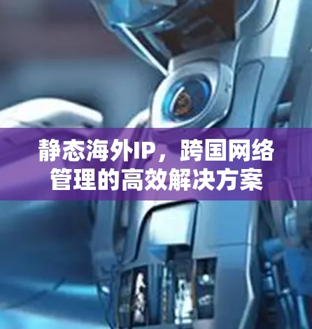 静态海外IP,跨国网络管理的高效解决方案 静态海外IP,跨国网络管理的高效解决方案