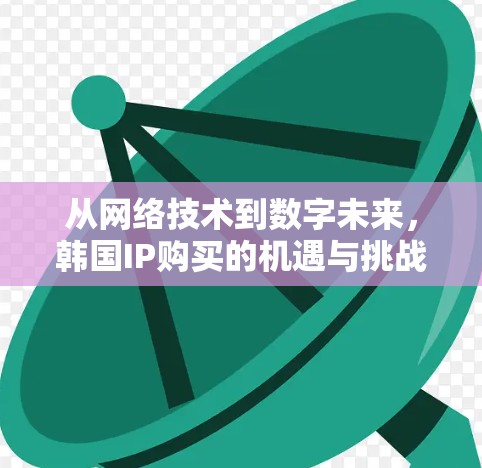 从网络技术到数字未来,韩国IP购买的机遇与挑战 从网络技术到数字未来,韩国IP购买的机遇与挑战