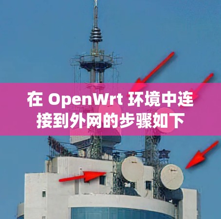 在 OpenWrt 环境中连接到外网的步骤如下 在 OpenWrt 环境中连接到外网的步骤如下