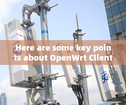 Here are some key points about OpenWrt Clients: Here are some key points about OpenWrt Clients: