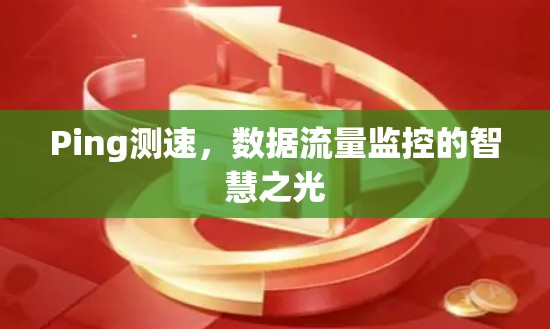 Ping测速,数据流量监控的智慧之光 Ping测速,数据流量监控的智慧之光