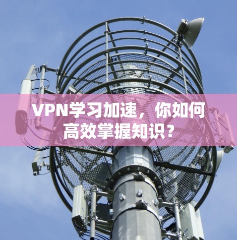 VPN学习加速，你如何高效掌握知识？