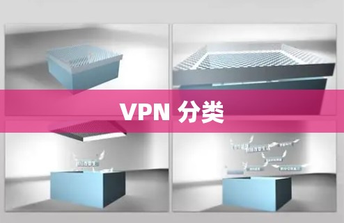 VPN 分类 VPN 分类
