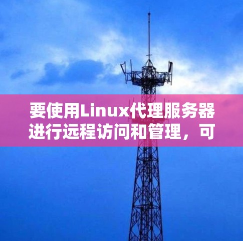 要使用Linux代理服务器进行远程访问和管理，可以按照以下步骤进行