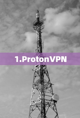 1.ProtonVPN 1.ProtonVPN