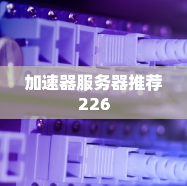 加速器服务器推荐226