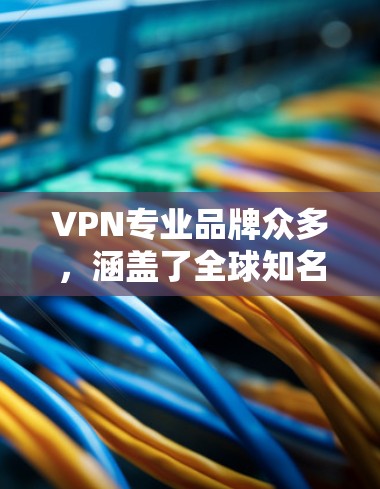VPN专业品牌众多，涵盖了全球知名的网络服务提供商。以下是一些知名的VPN品牌和服务提供商，供您参考
