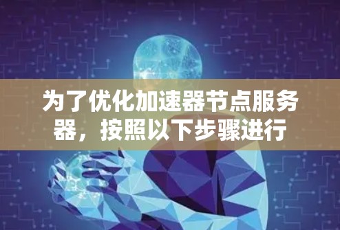 为了优化加速器节点服务器,按照以下步骤进行 为了优化加速器节点服务器,按照以下步骤进行