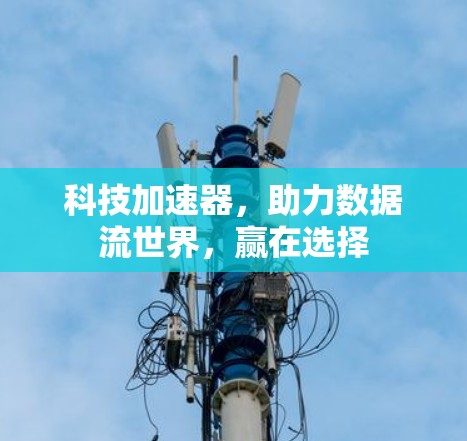 科技加速器，助力数据流世界，赢在选择