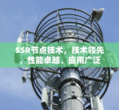 SSR节点技术,技术领先、性能卓越、应用广泛 SSR节点技术,技术领先、性能卓越、应用广泛