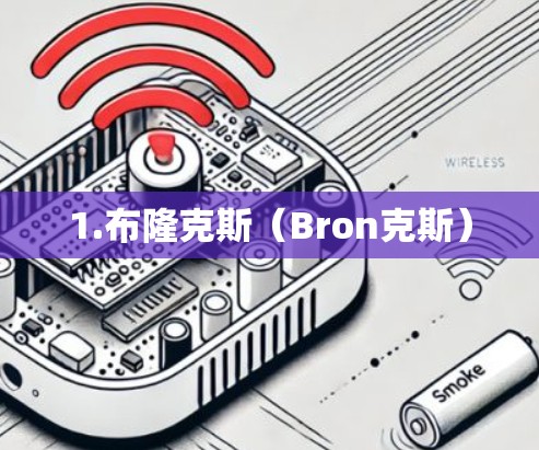 1.布隆克斯(Bron克斯) 1.布隆克斯(Bron克斯)