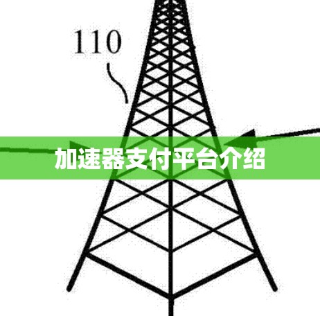 加速器支付平台介绍 加速器支付平台介绍