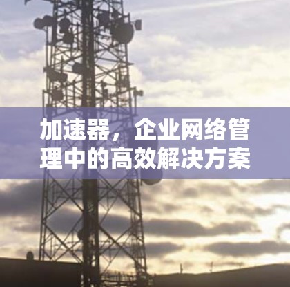 加速器，企业网络管理中的高效解决方案