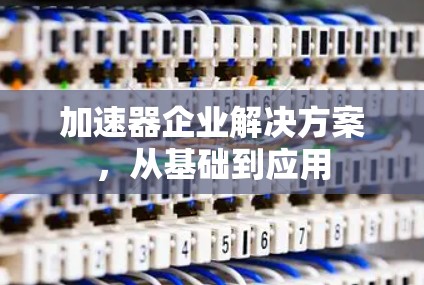 加速器企业解决方案,从基础到应用 加速器企业解决方案,从基础到应用