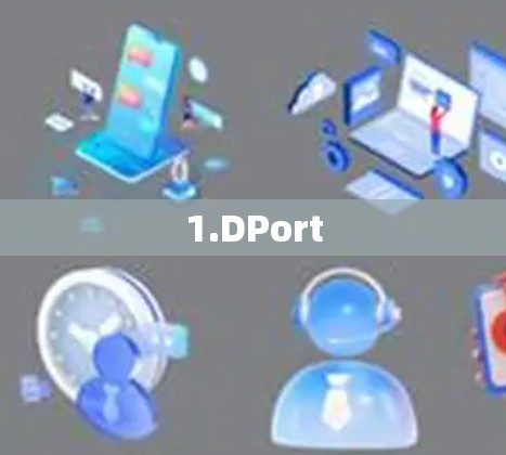 1.DPort