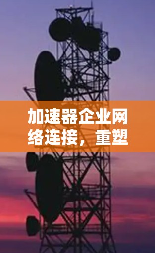 加速器企业网络连接，重塑企业网络效率的新机遇