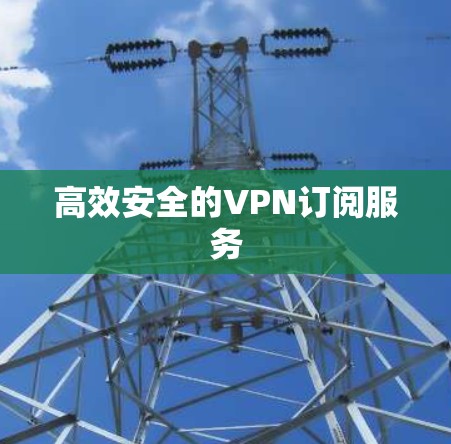 高效安全的VPN订阅服务