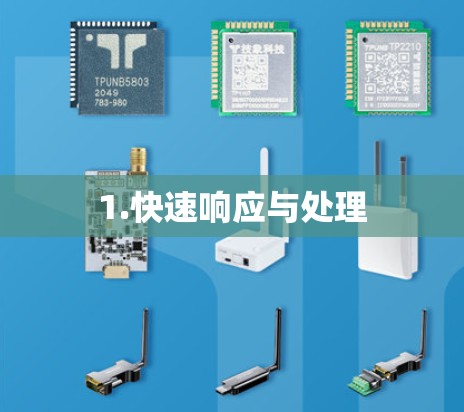 1.快速响应与处理 1.快速响应与处理