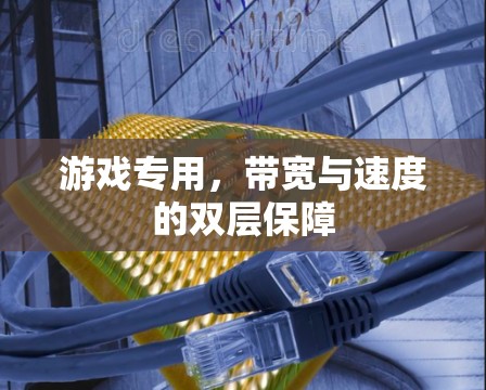 游戏专用,带宽与速度的双层保障 游戏专用,带宽与速度的双层保障