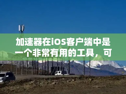 加速器在iOS客户端中是一个非常有用的工具，可以帮助您提高网页加载速度。以下是一些使用加速器在iOS客户端上的常见操作和步骤