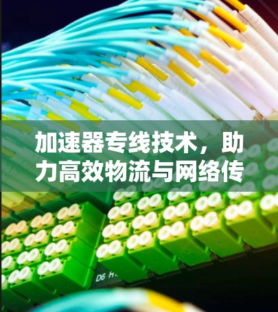 加速器专线技术,助力高效物流与网络传输 加速器专线技术,助力高效物流与网络传输